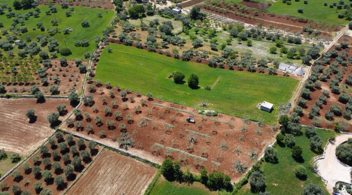 Rustico
