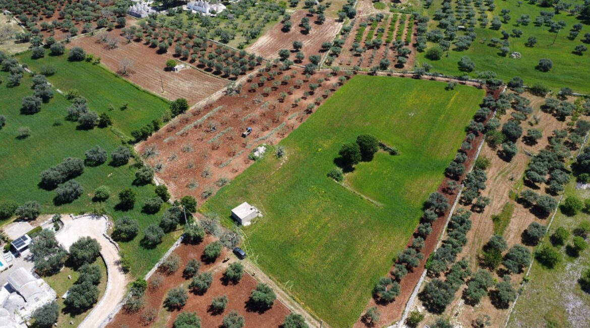 Rustico