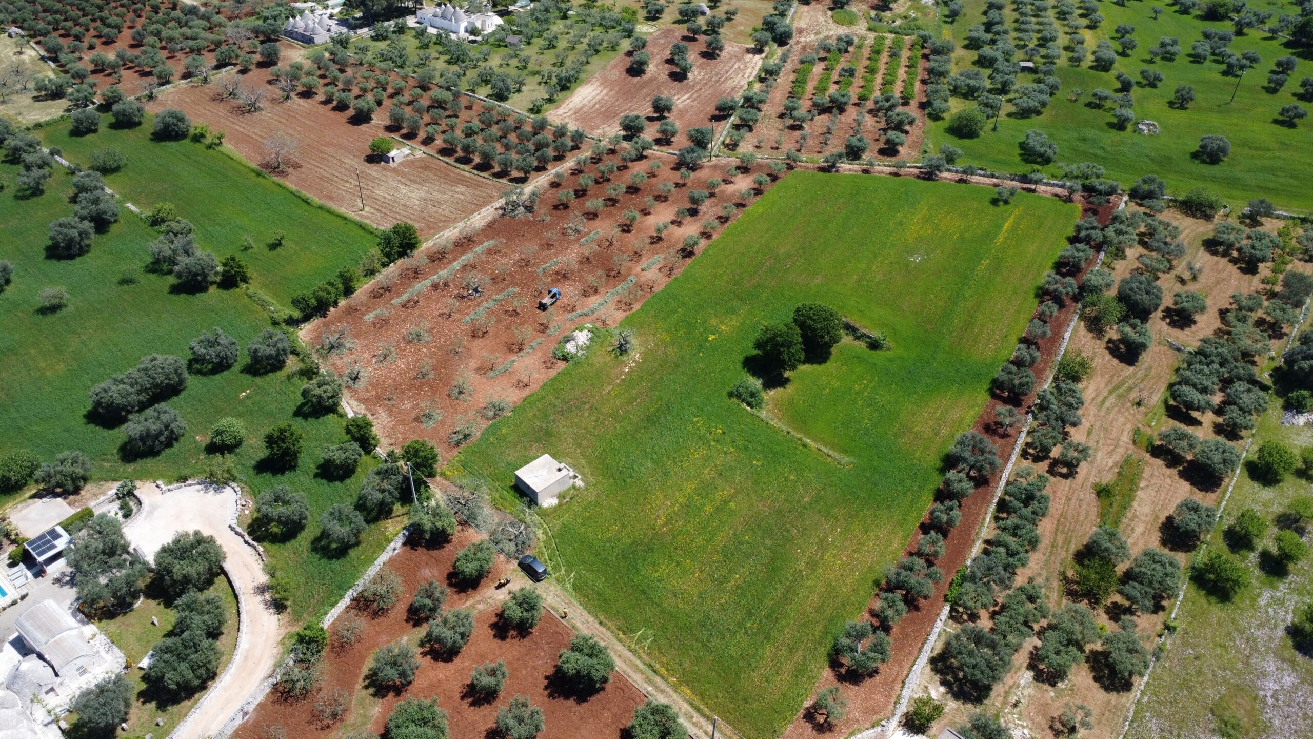 DJI_0822