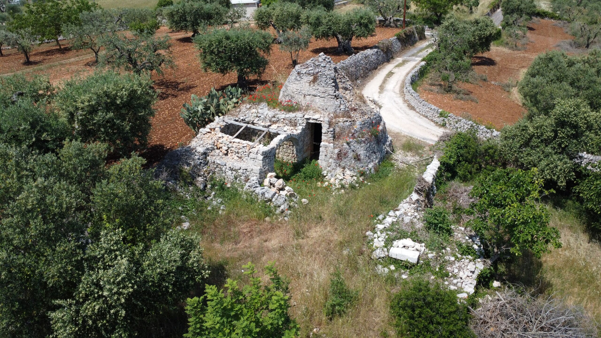 DJI_0923