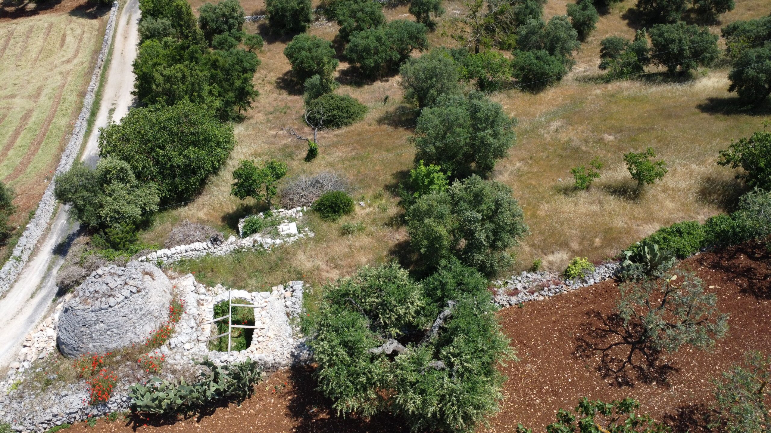 DJI_0926