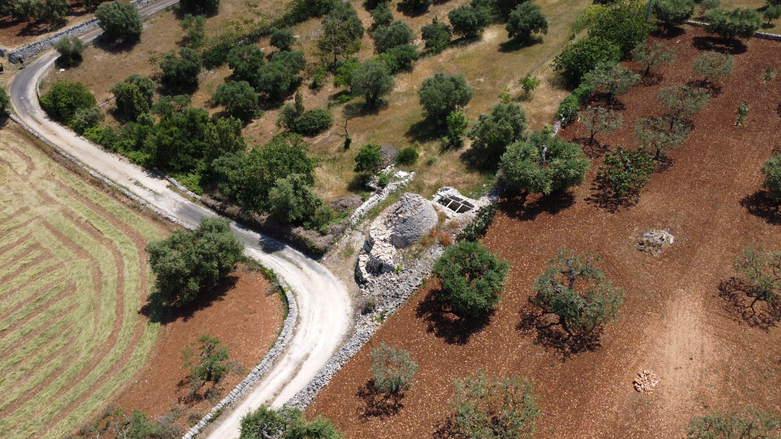 DJI_0927
