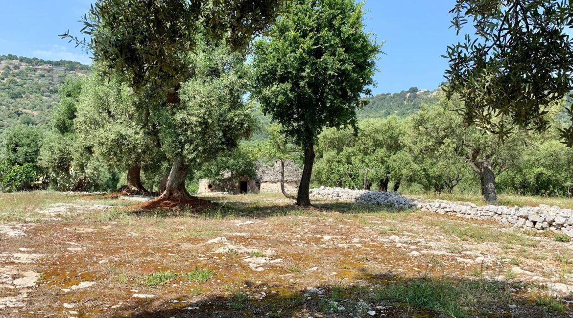 Trulli