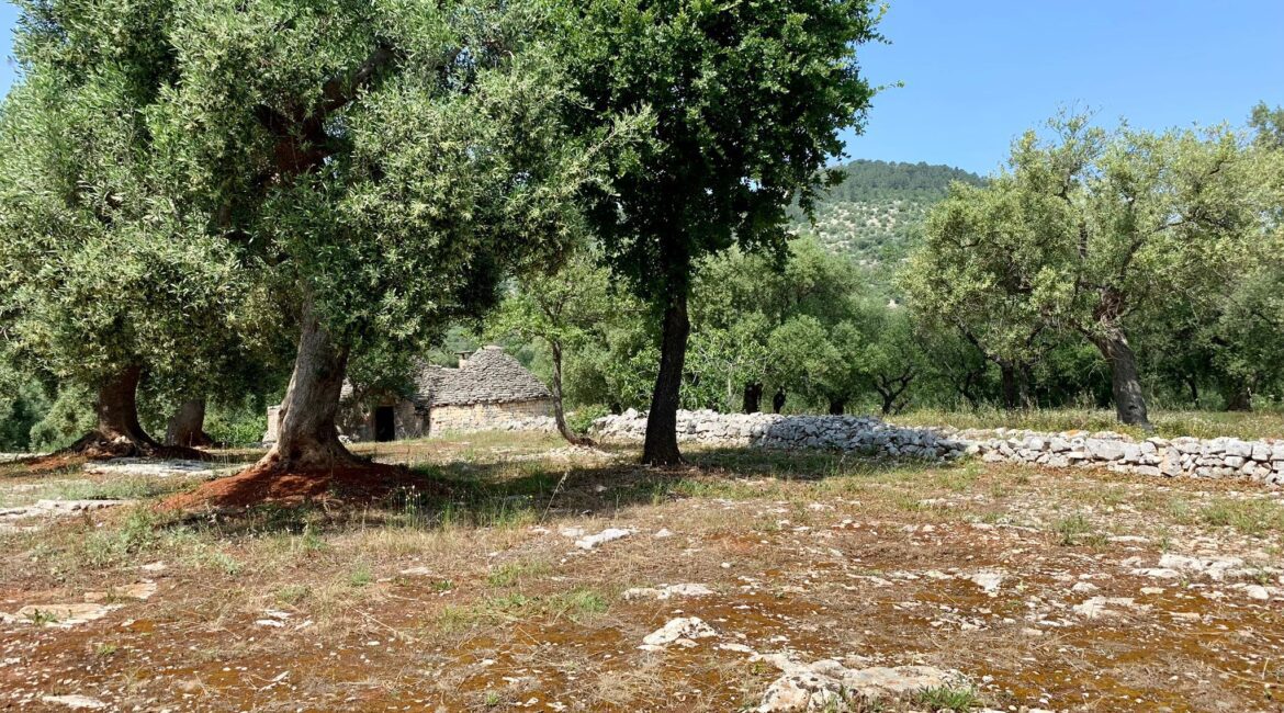 Trulli