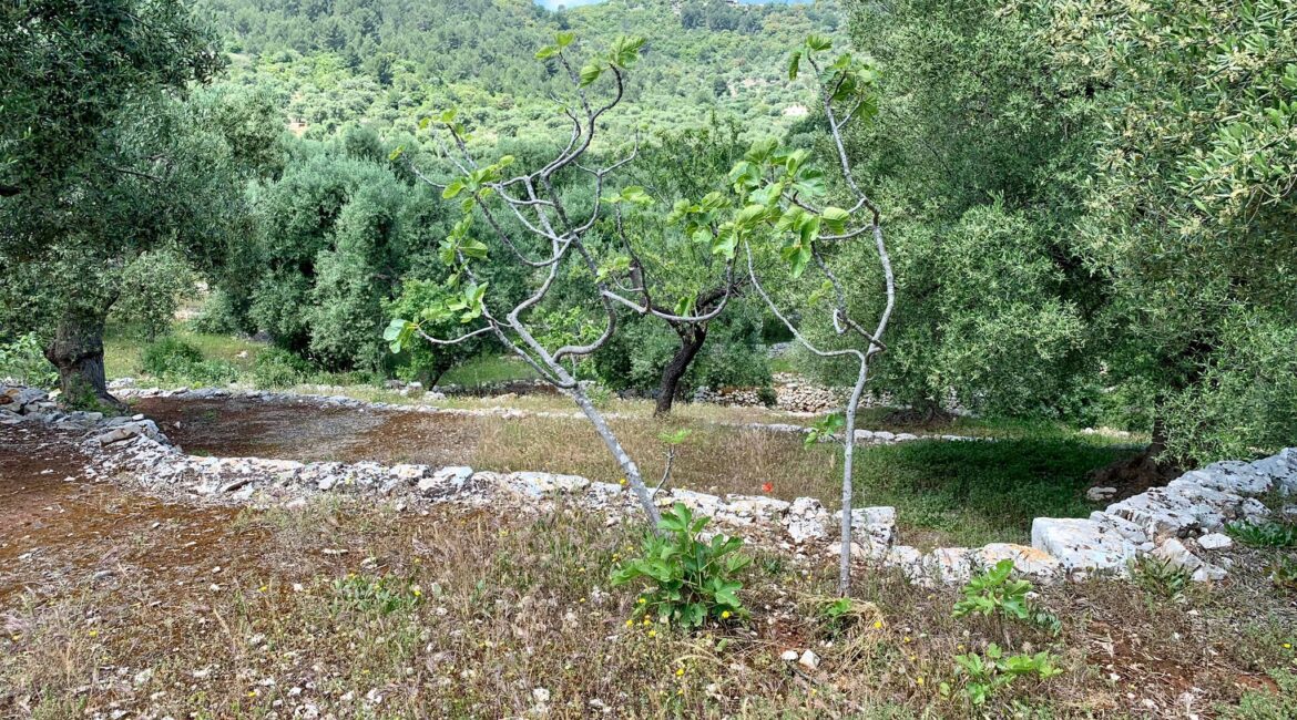 Trulli
