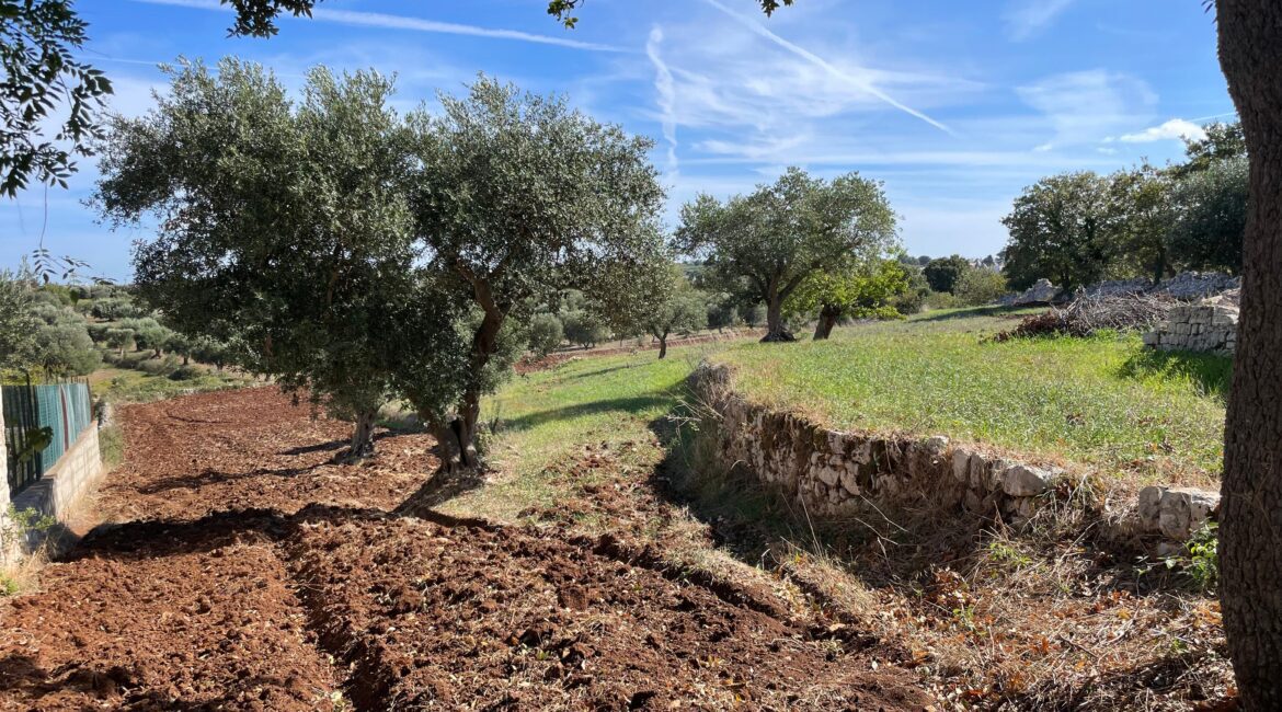 Trulli