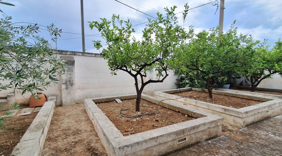 Casale