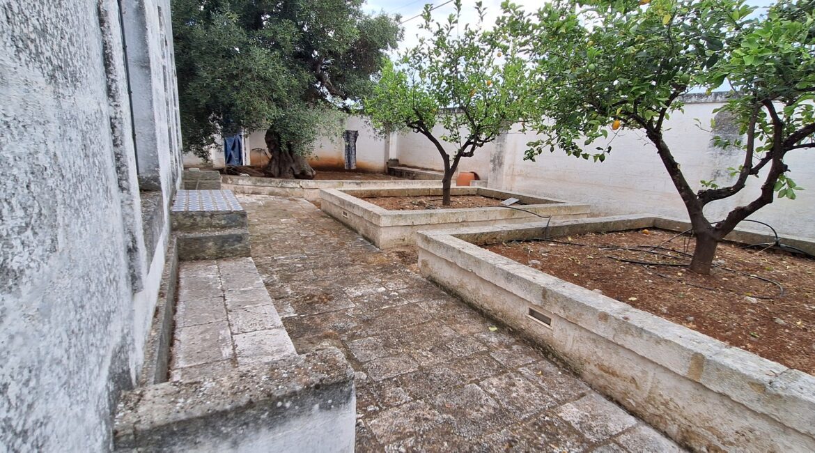 Casale