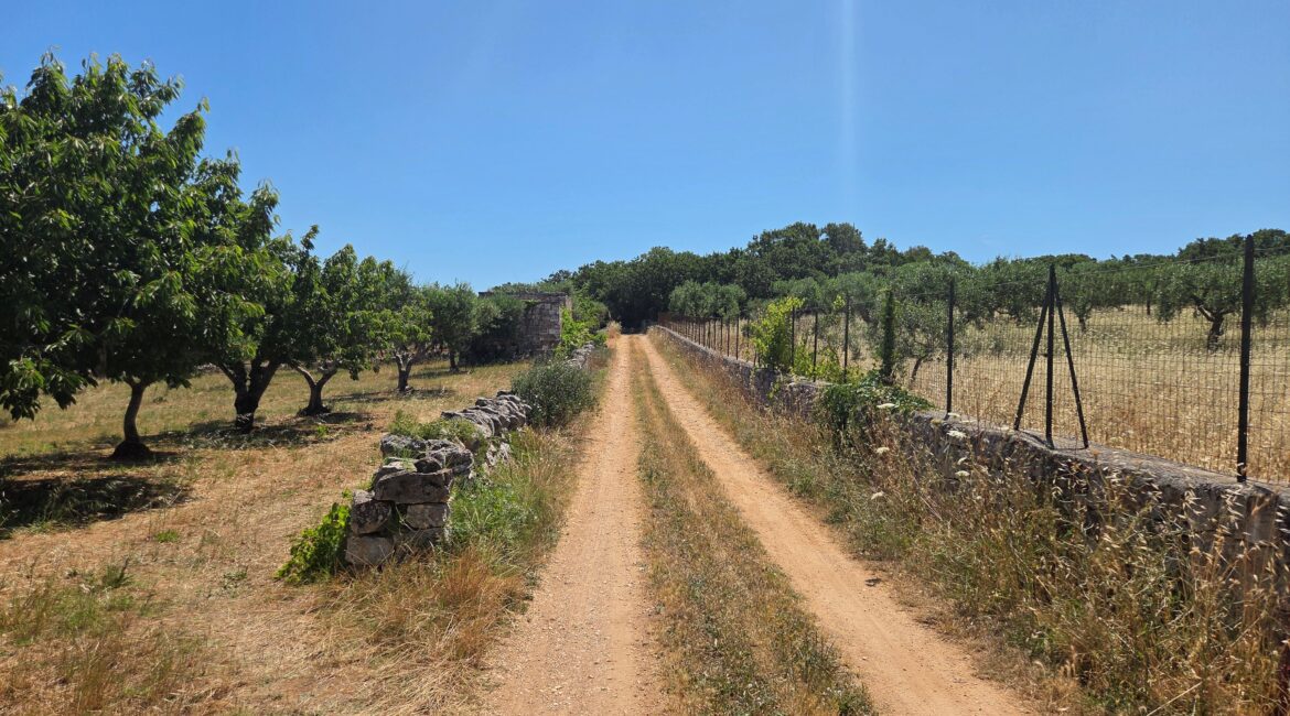 Terreno