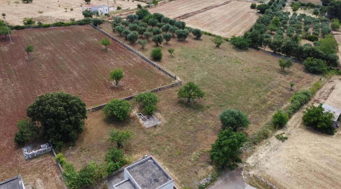 Trullo