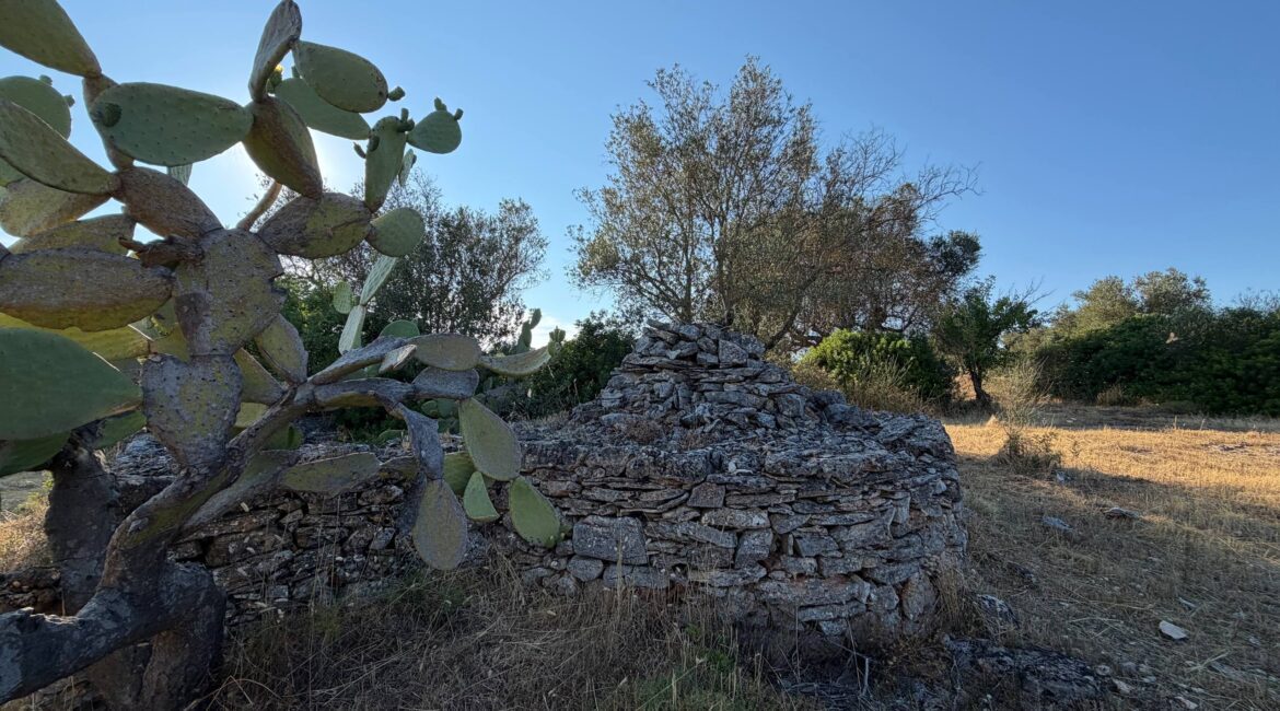 Trullo