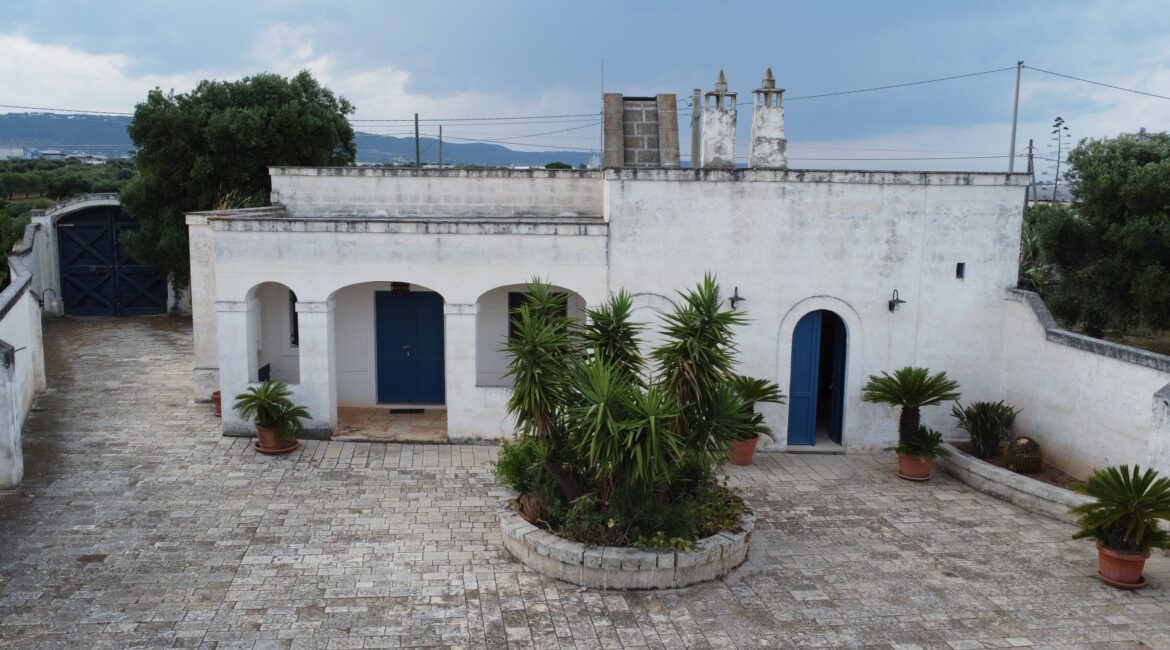 Casale