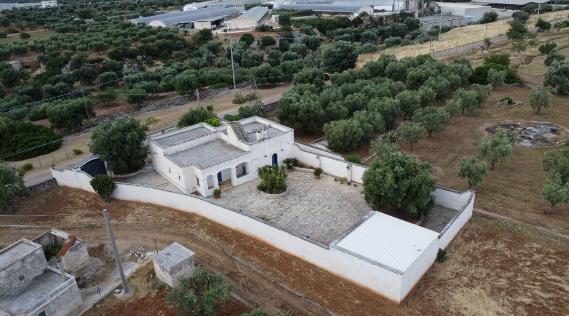 Casale
