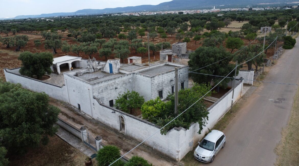 Casale