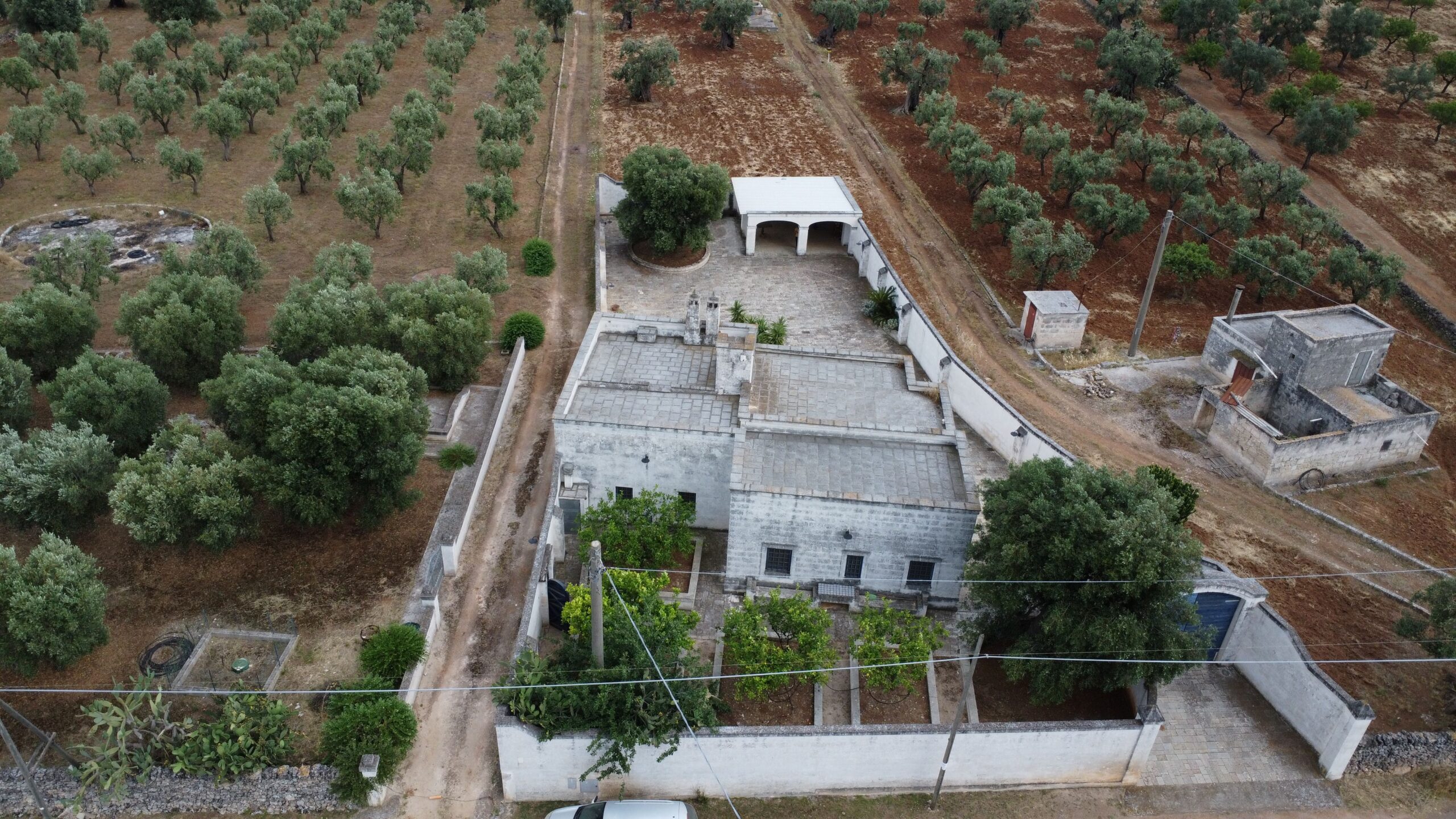 DJI_0065