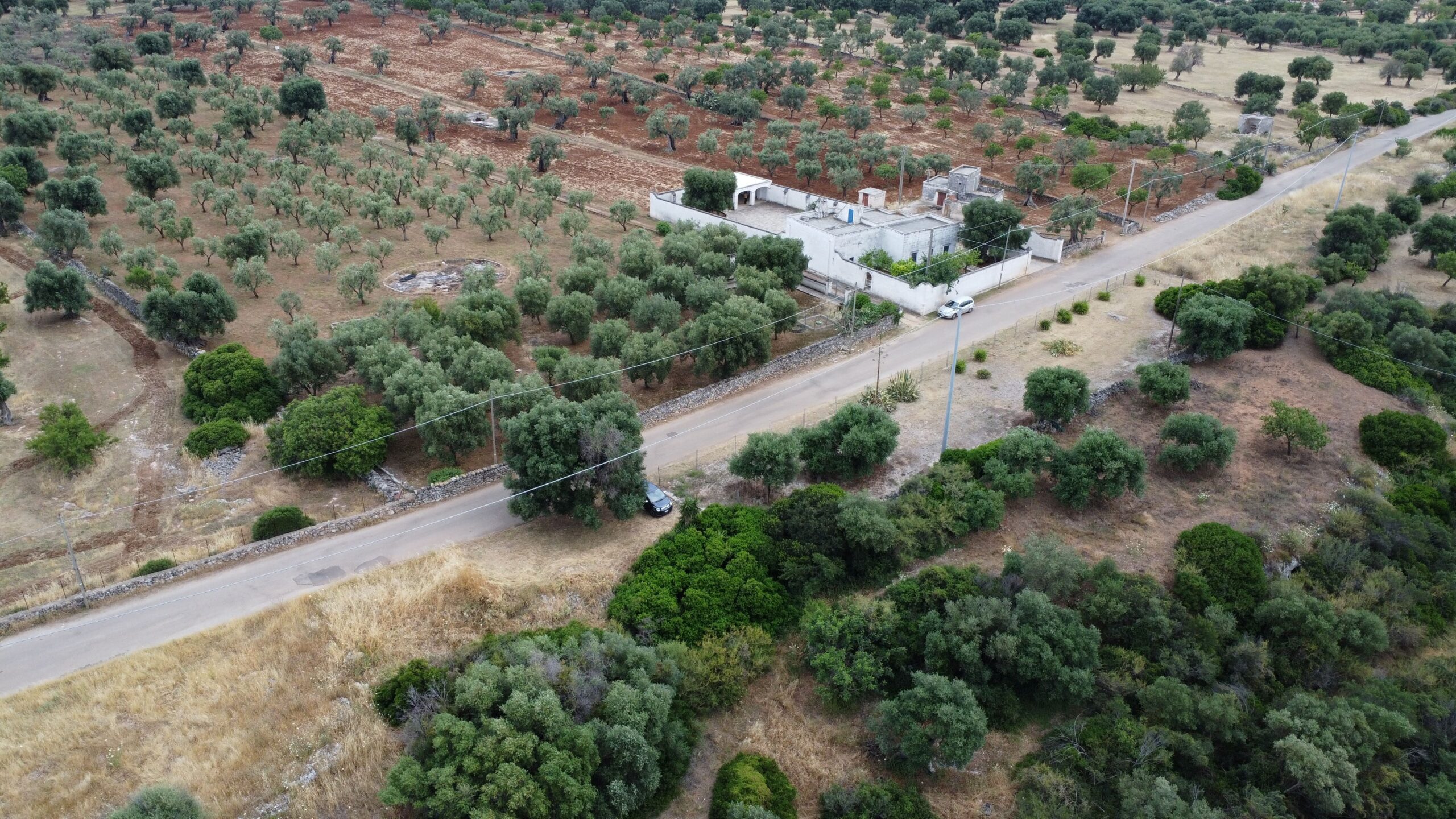 DJI_0067