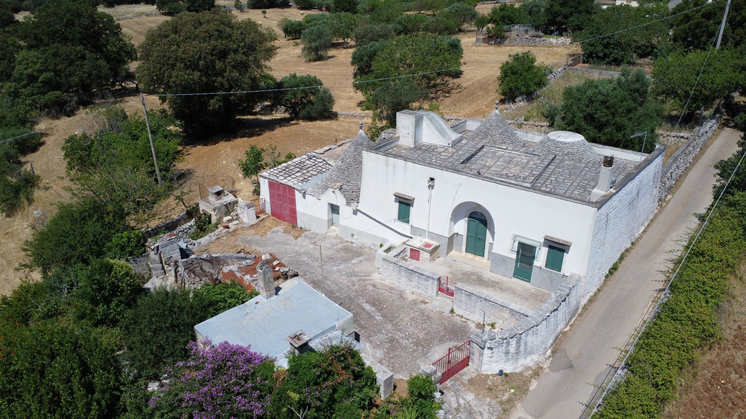 DJI_0113