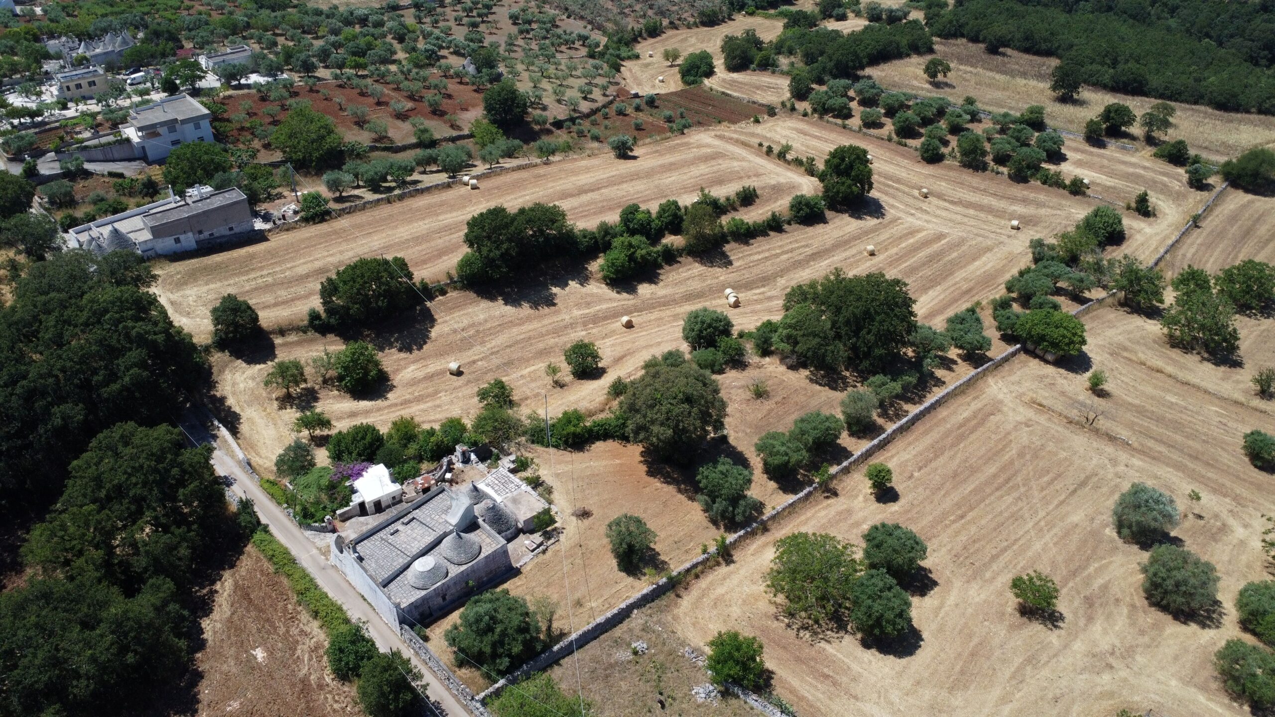 DJI_0118