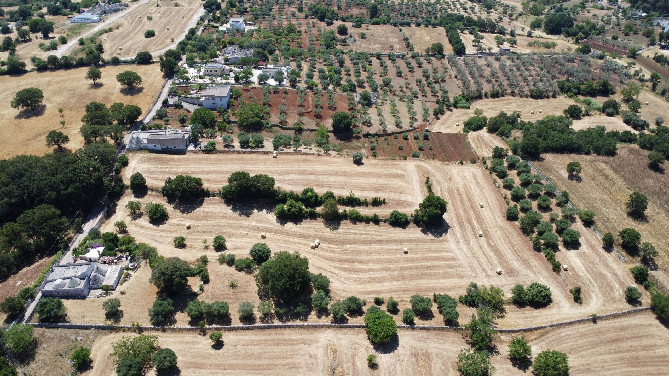 DJI_0119