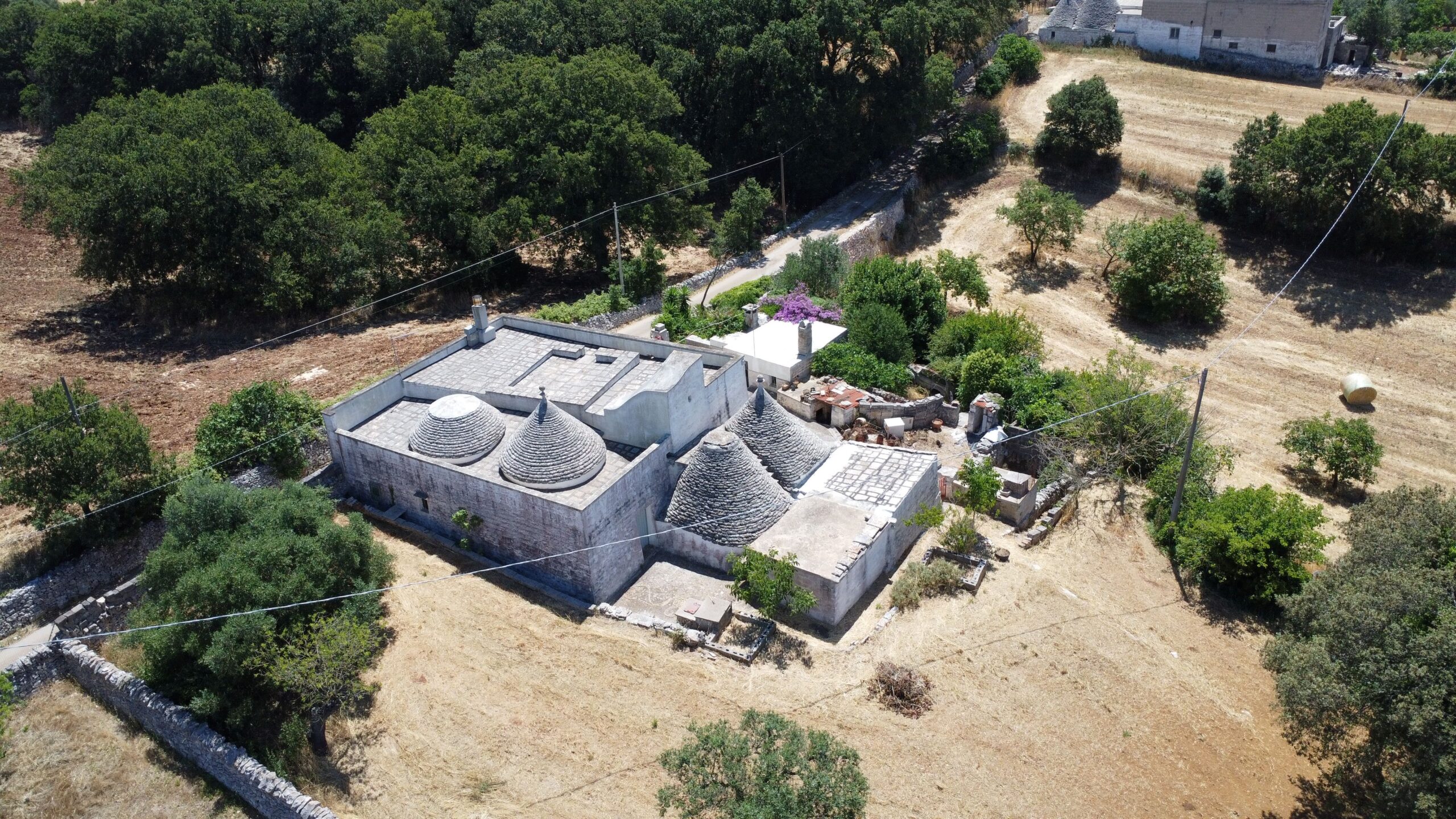 DJI_0120