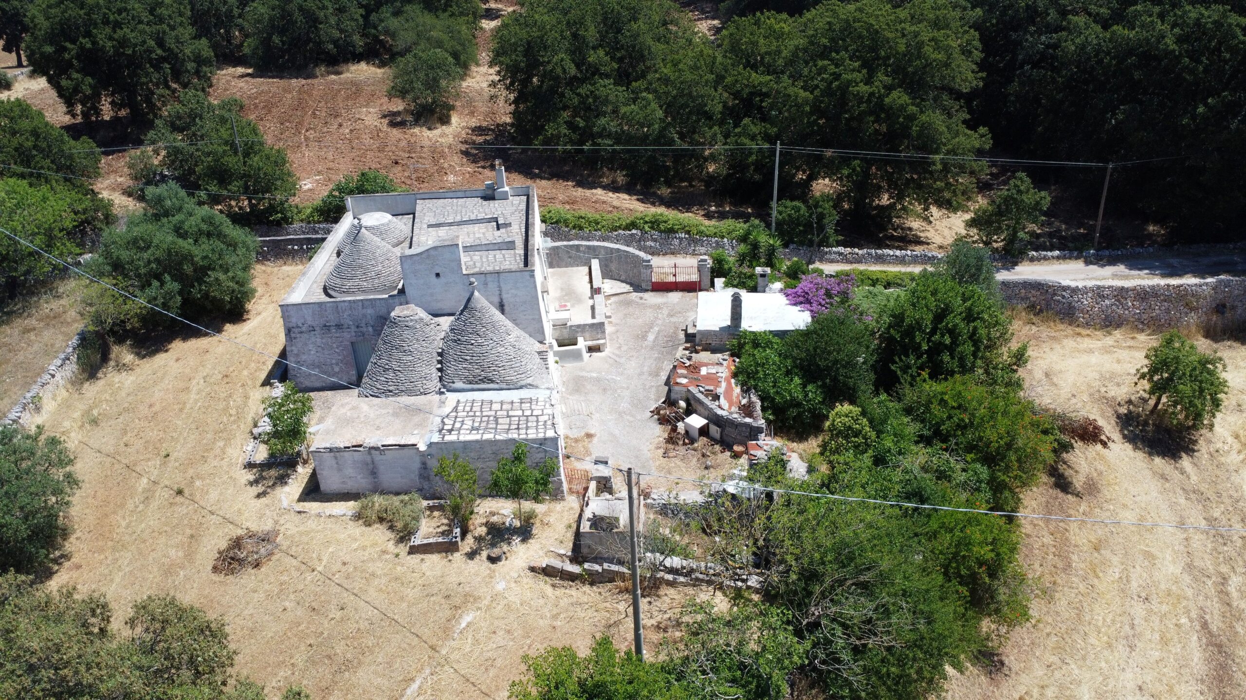 DJI_0121
