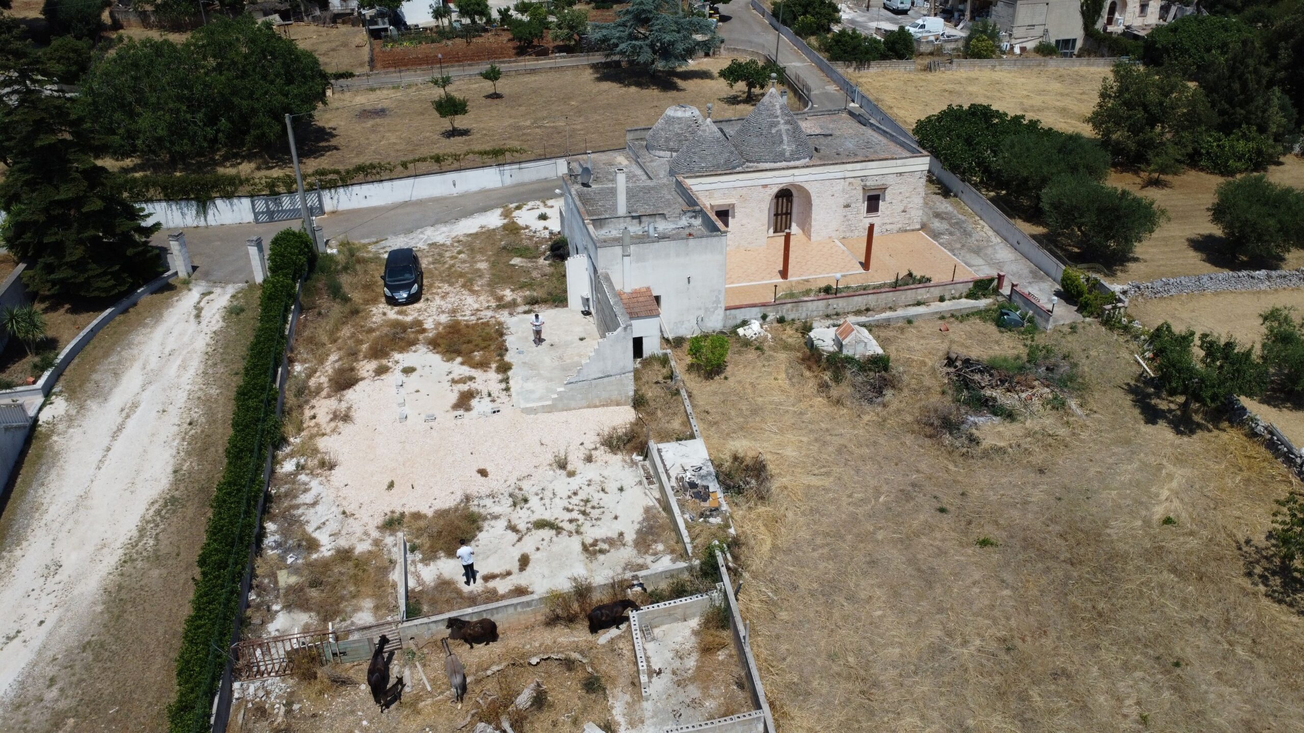 DJI_0162