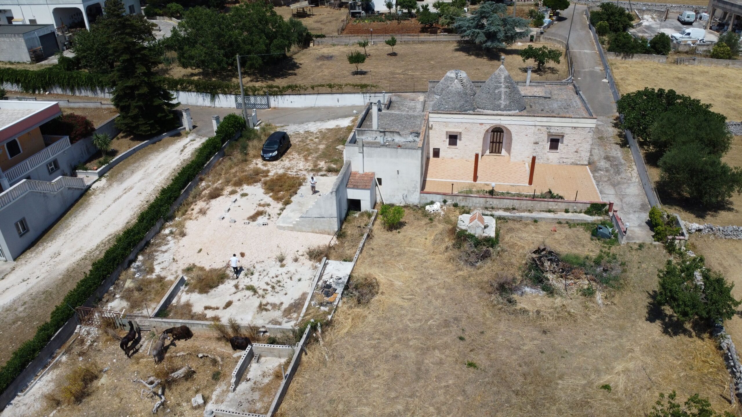 DJI_0163