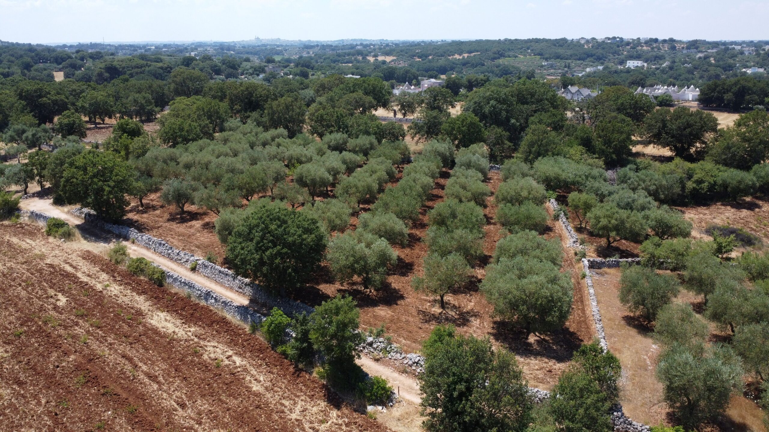 DJI_0182
