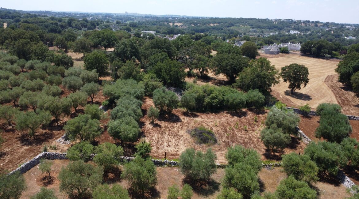 Terreno