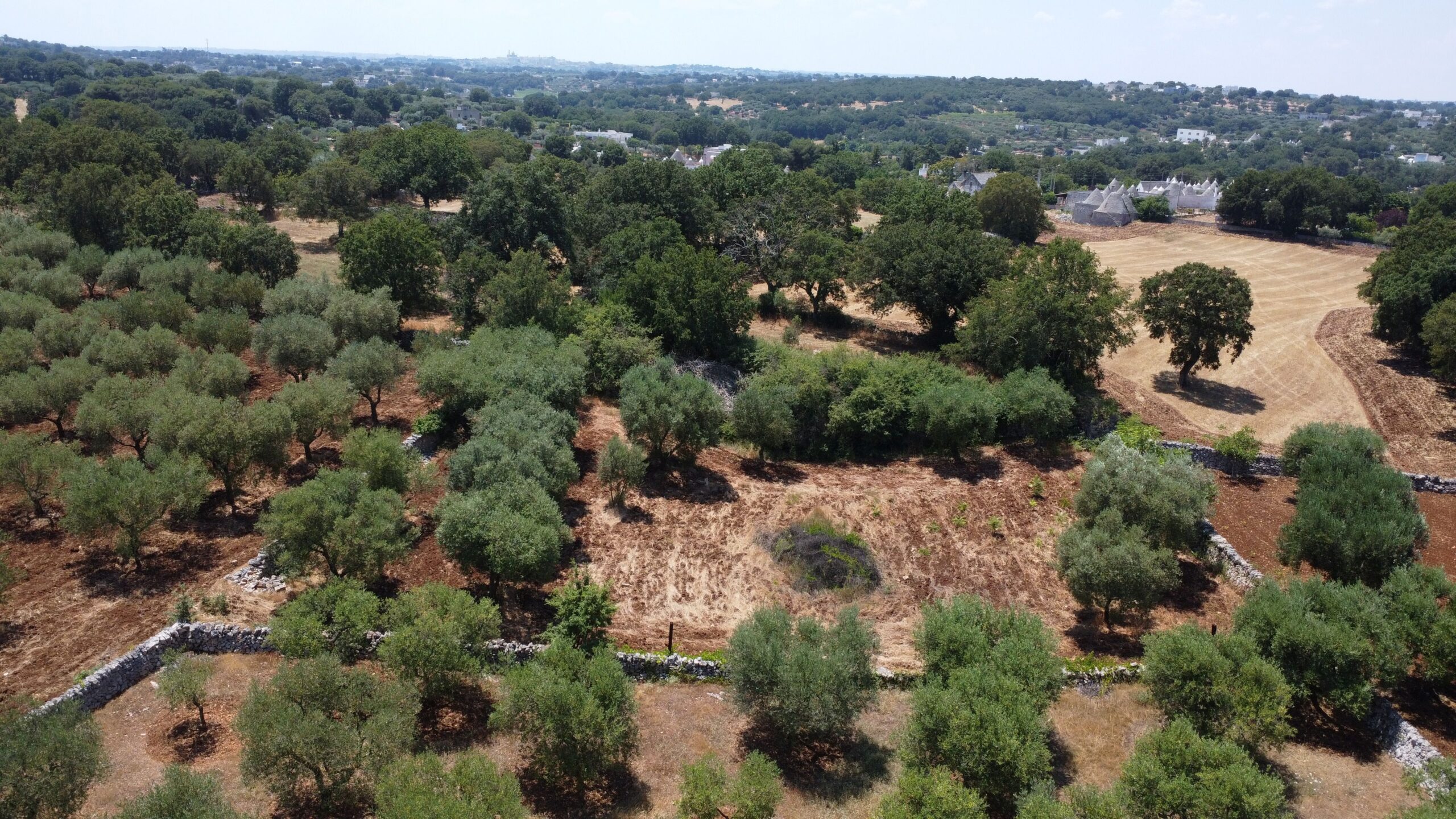 DJI_0183