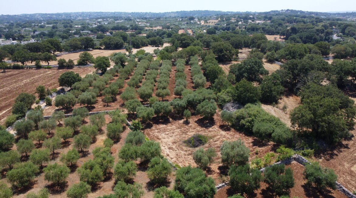 Terreno