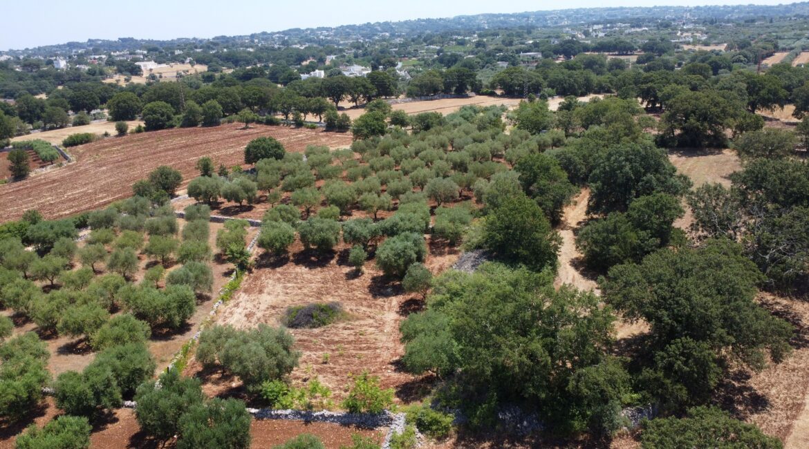 Terreno