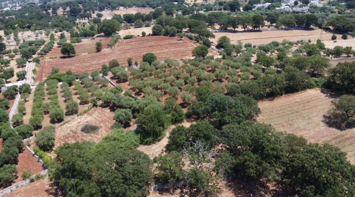Terreno