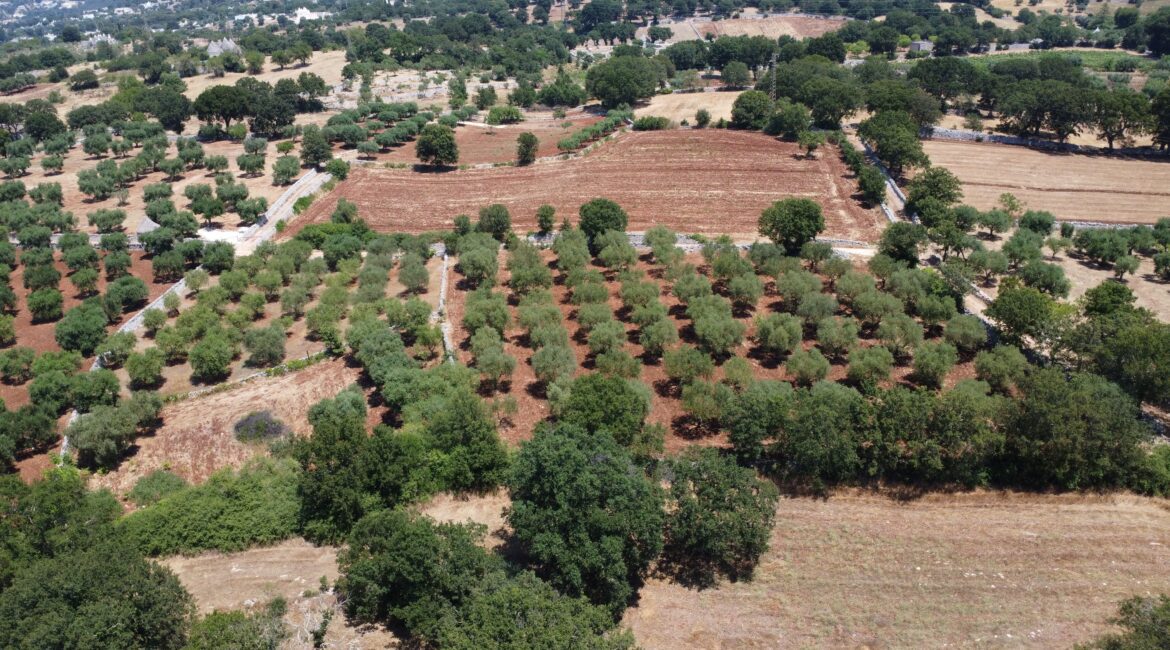 Terreno