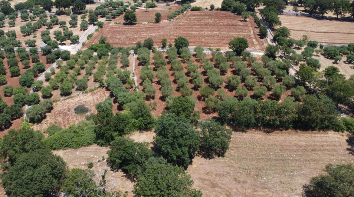 Terreno