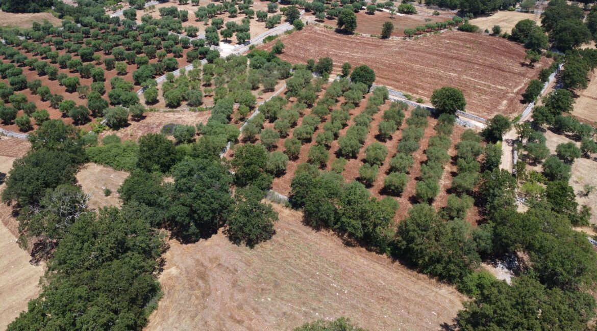 Terreno