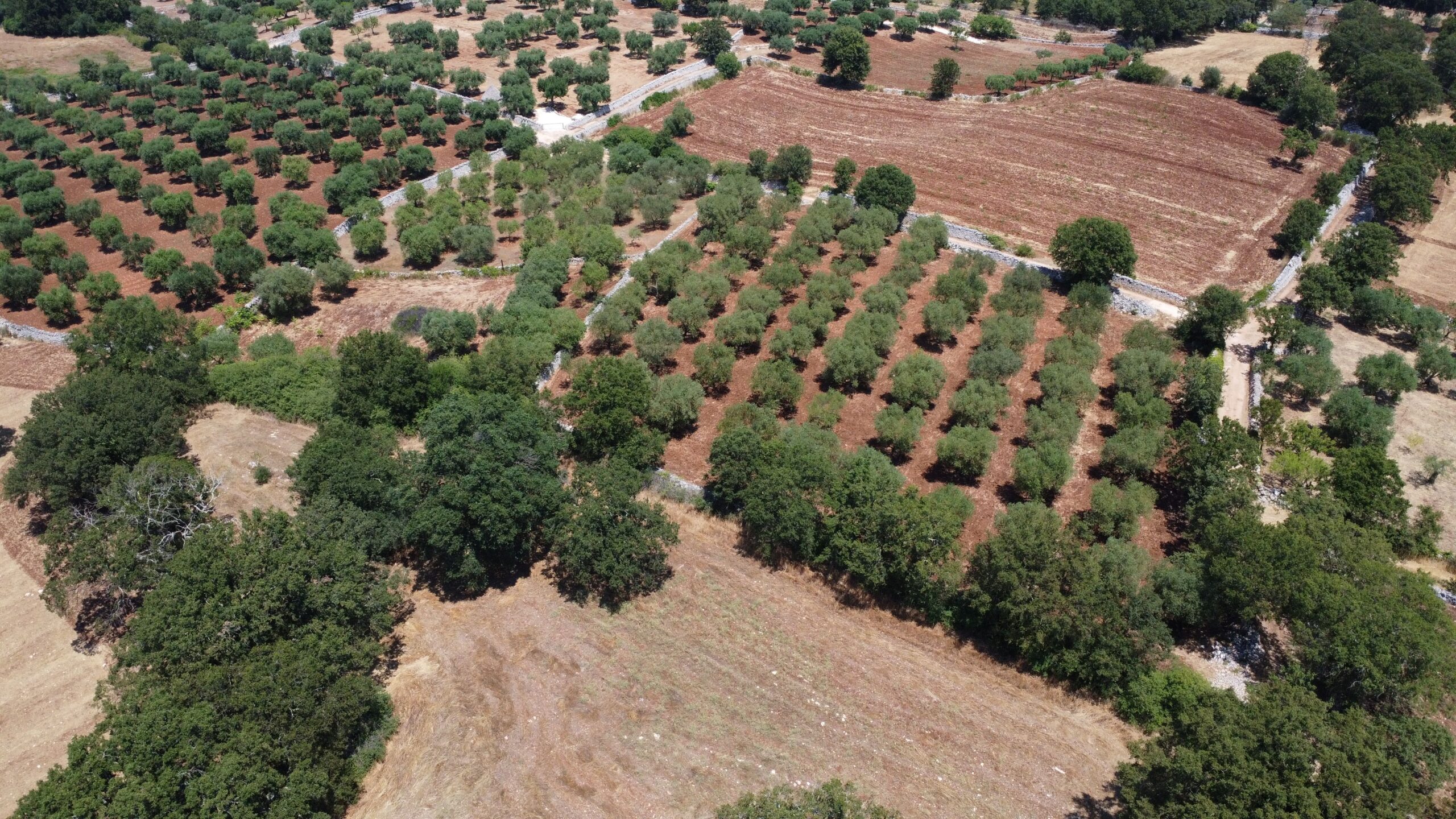 DJI_0191