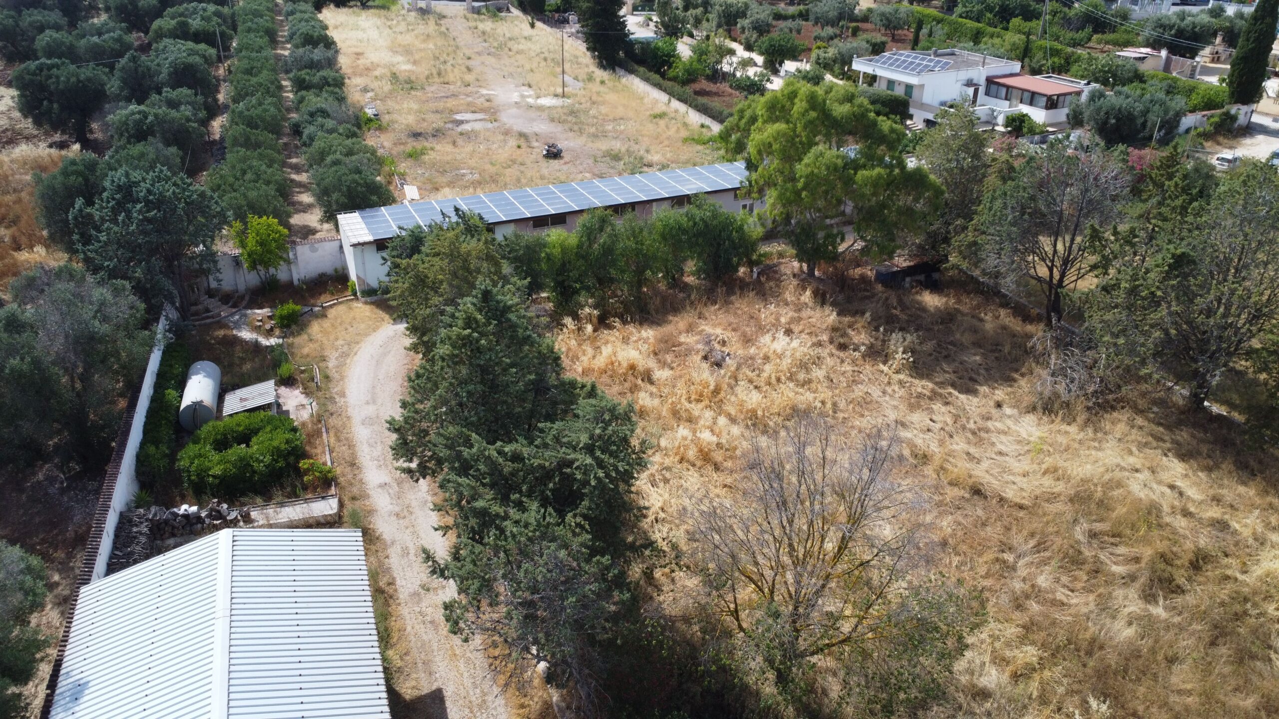 DJI_0588