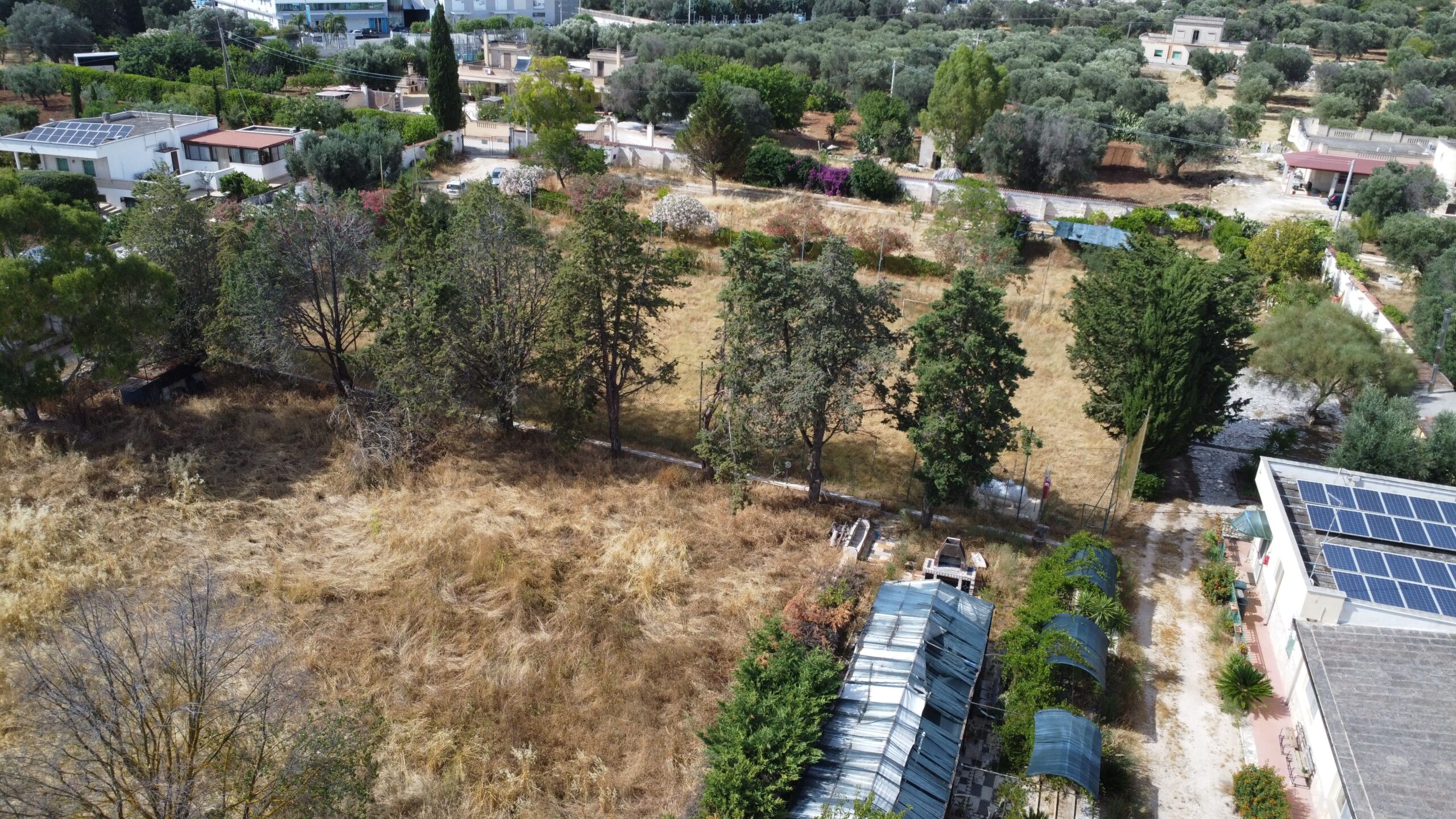 DJI_0589