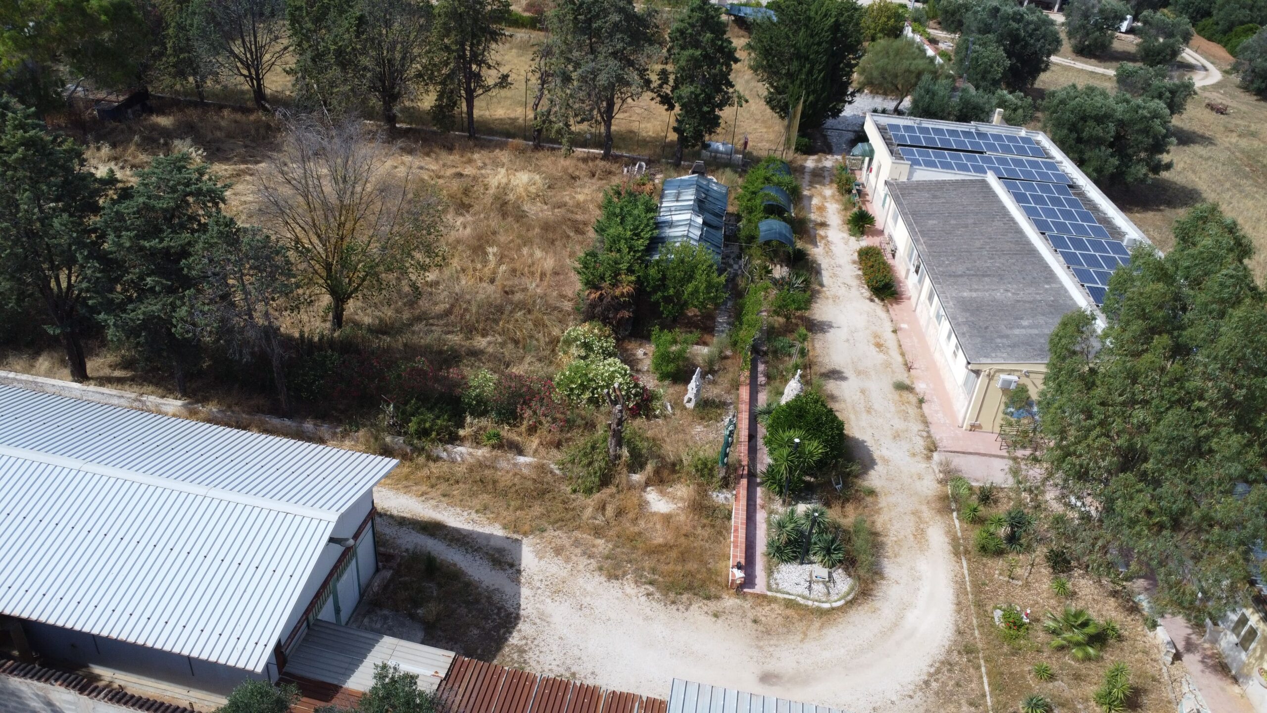 DJI_0591