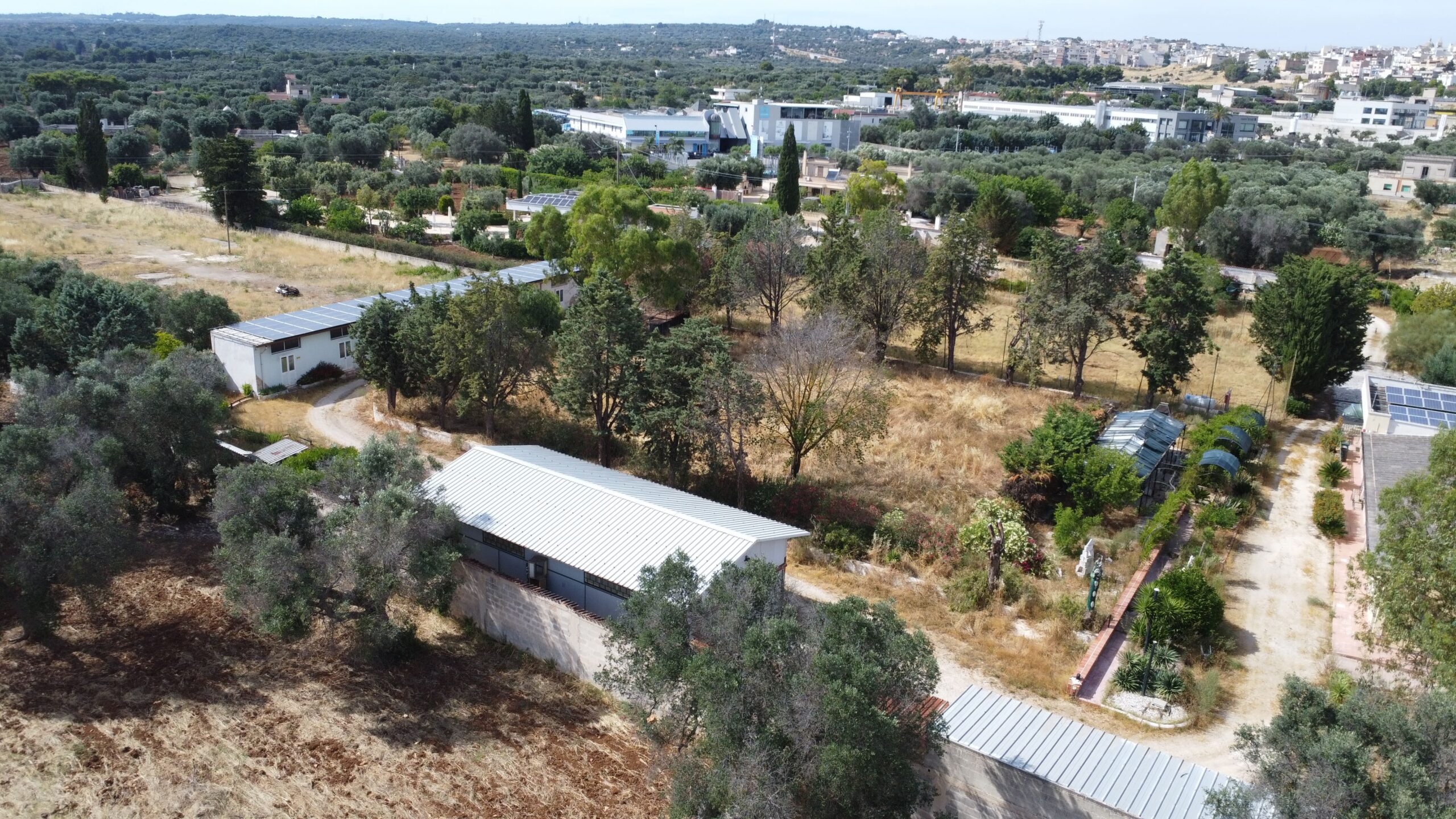 DJI_0593