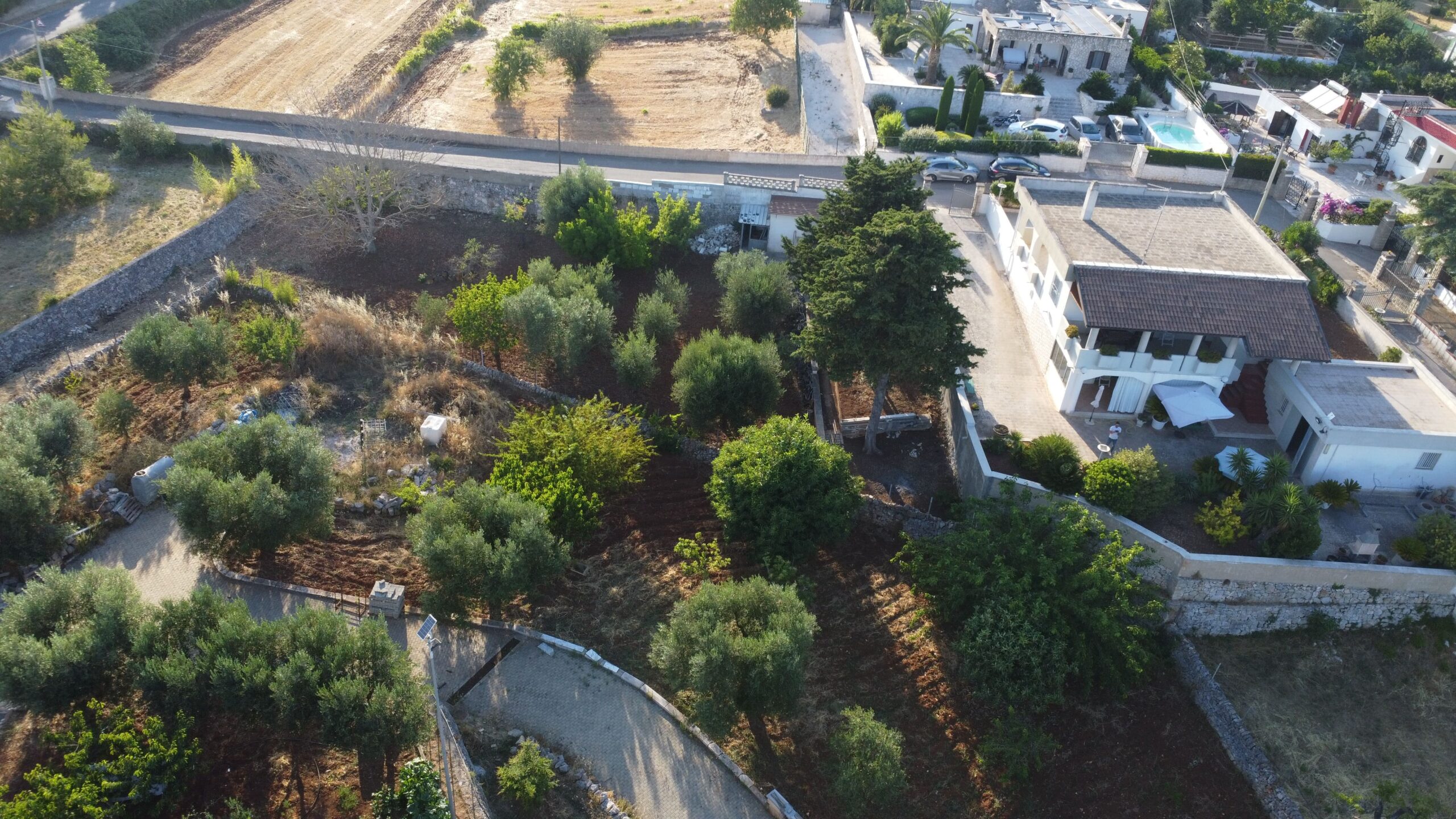 DJI_0623