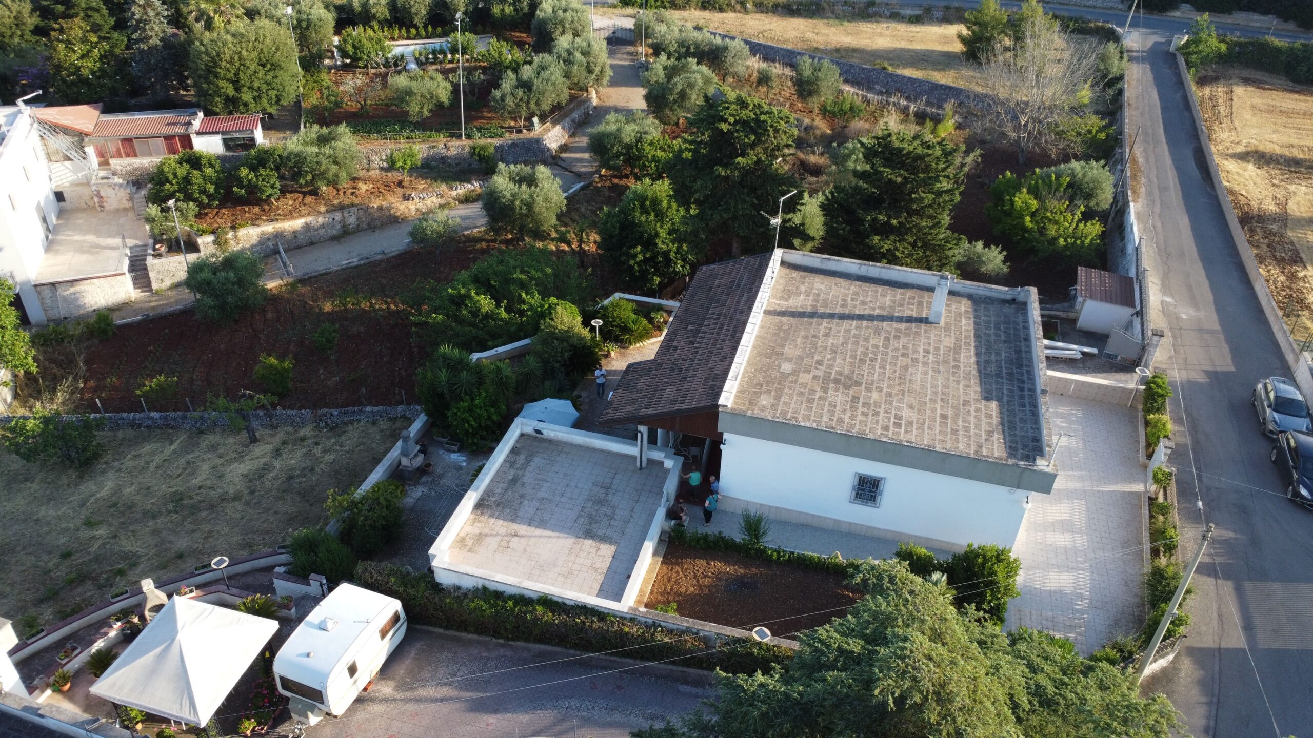 DJI_0631