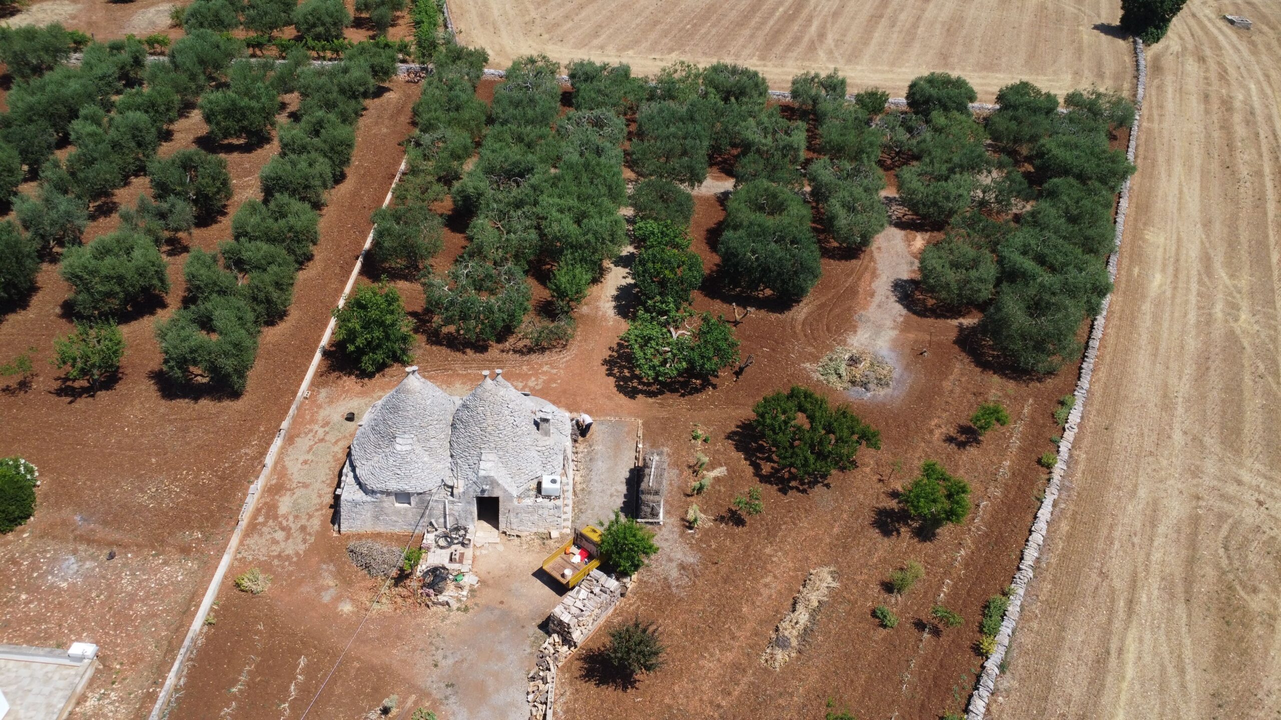DJI_0635