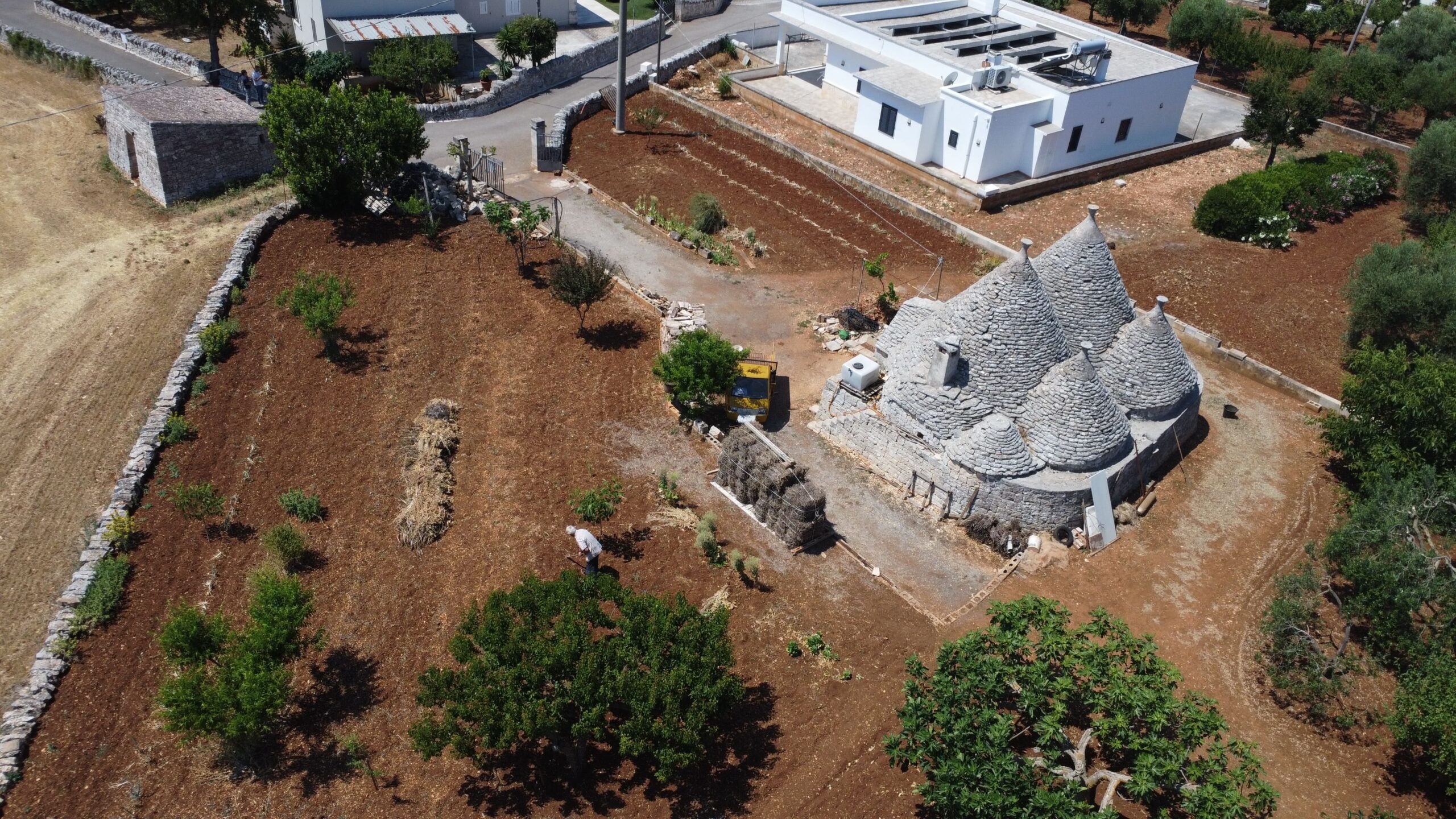 DJI_0644
