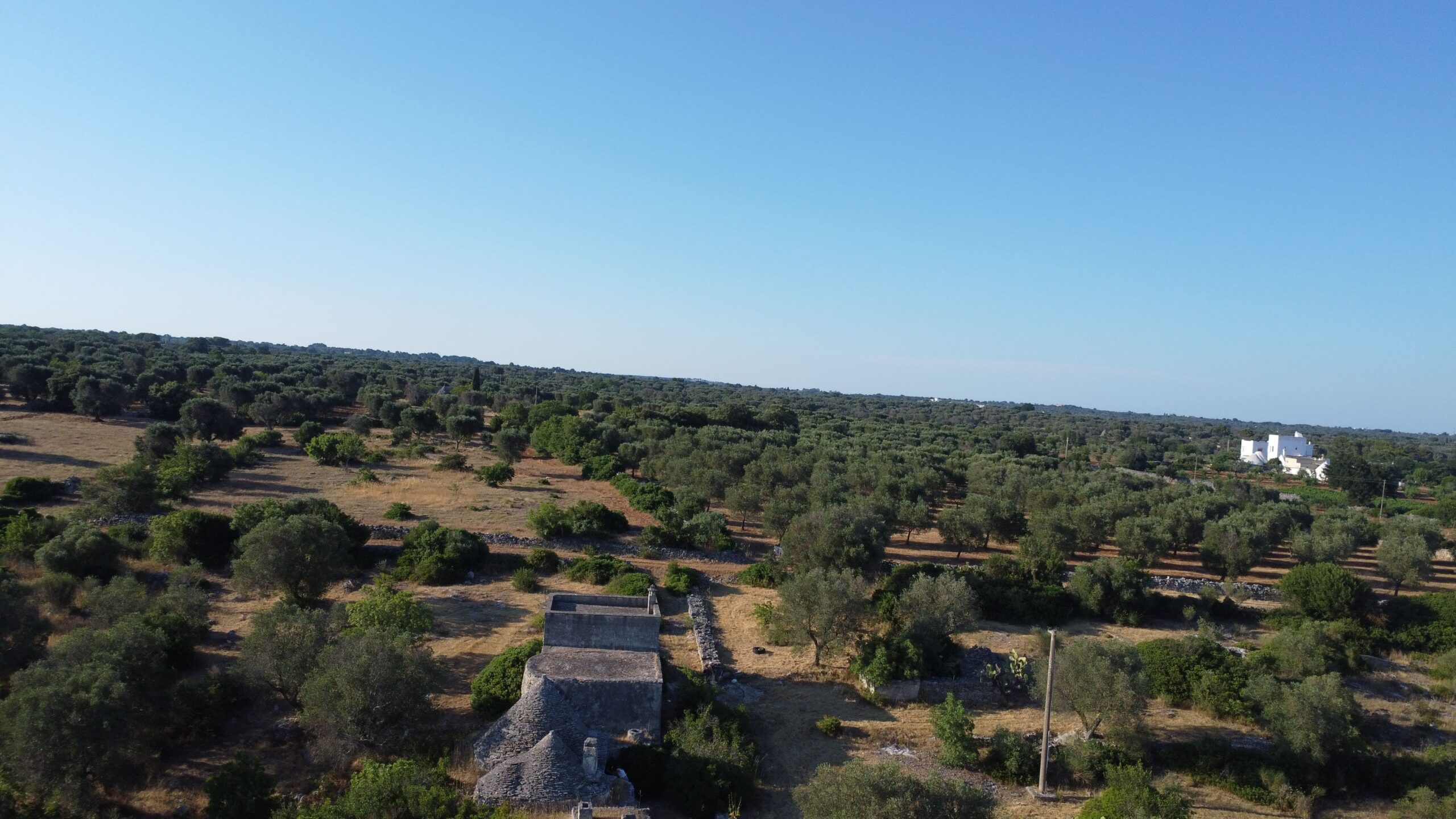 DJI_0648