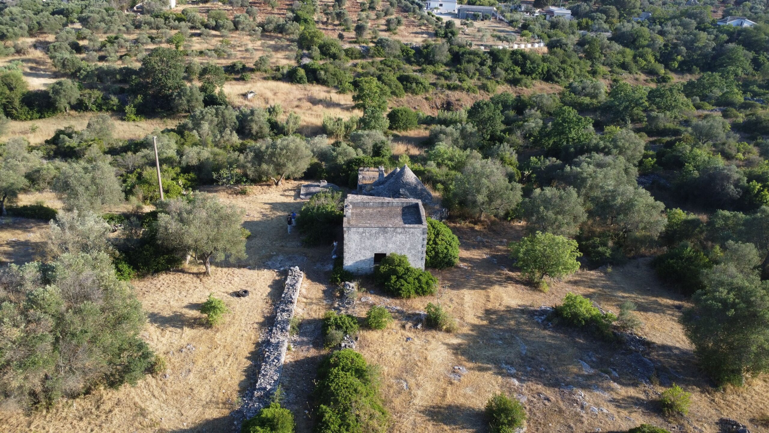 DJI_0653