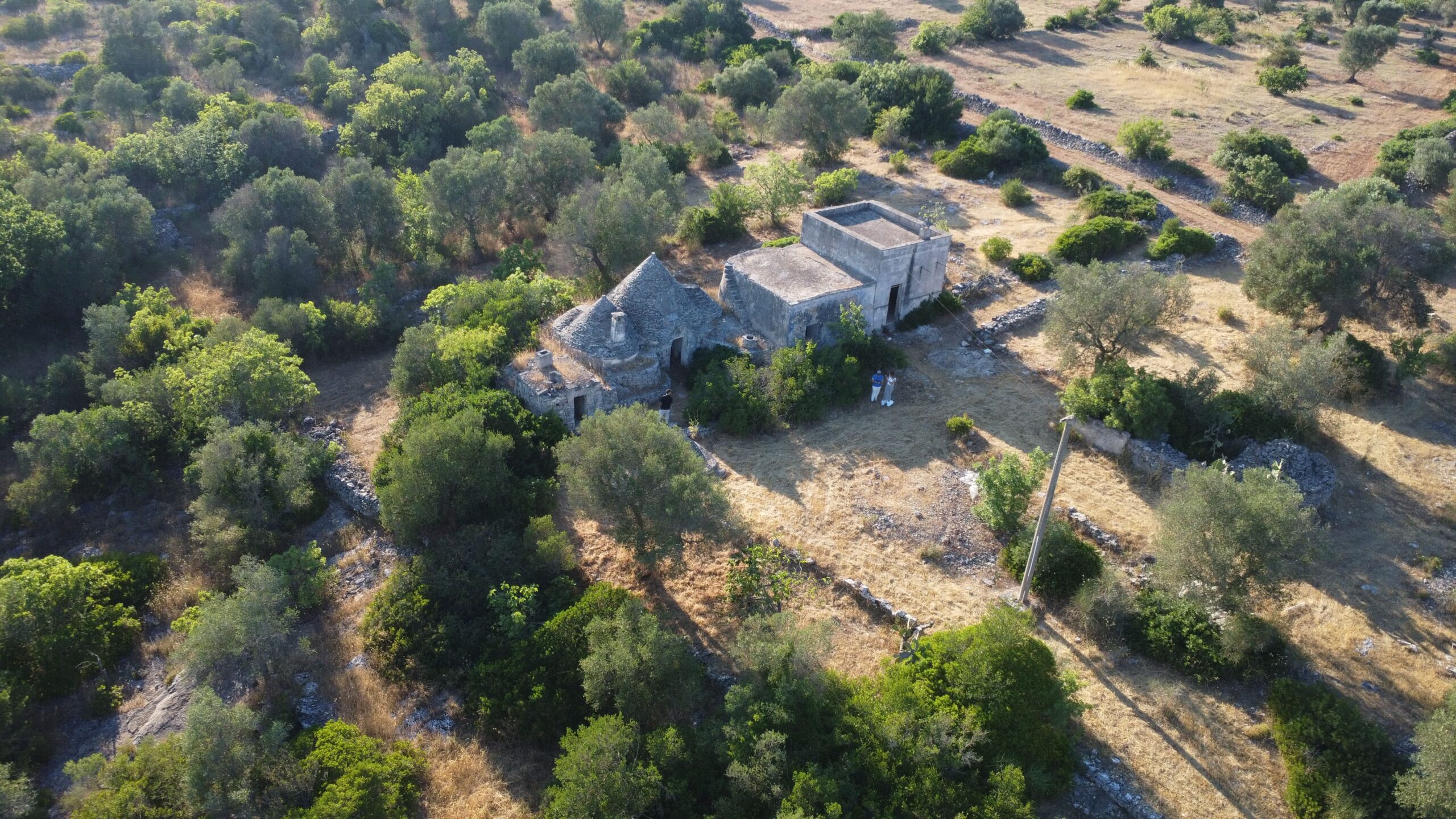DJI_0657