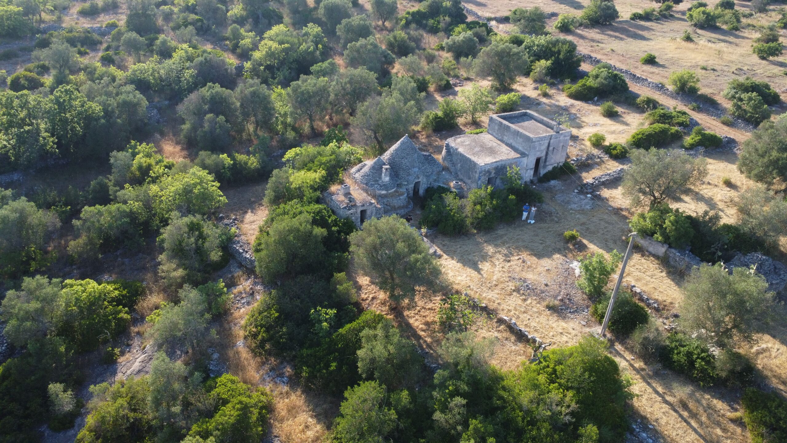 DJI_0658