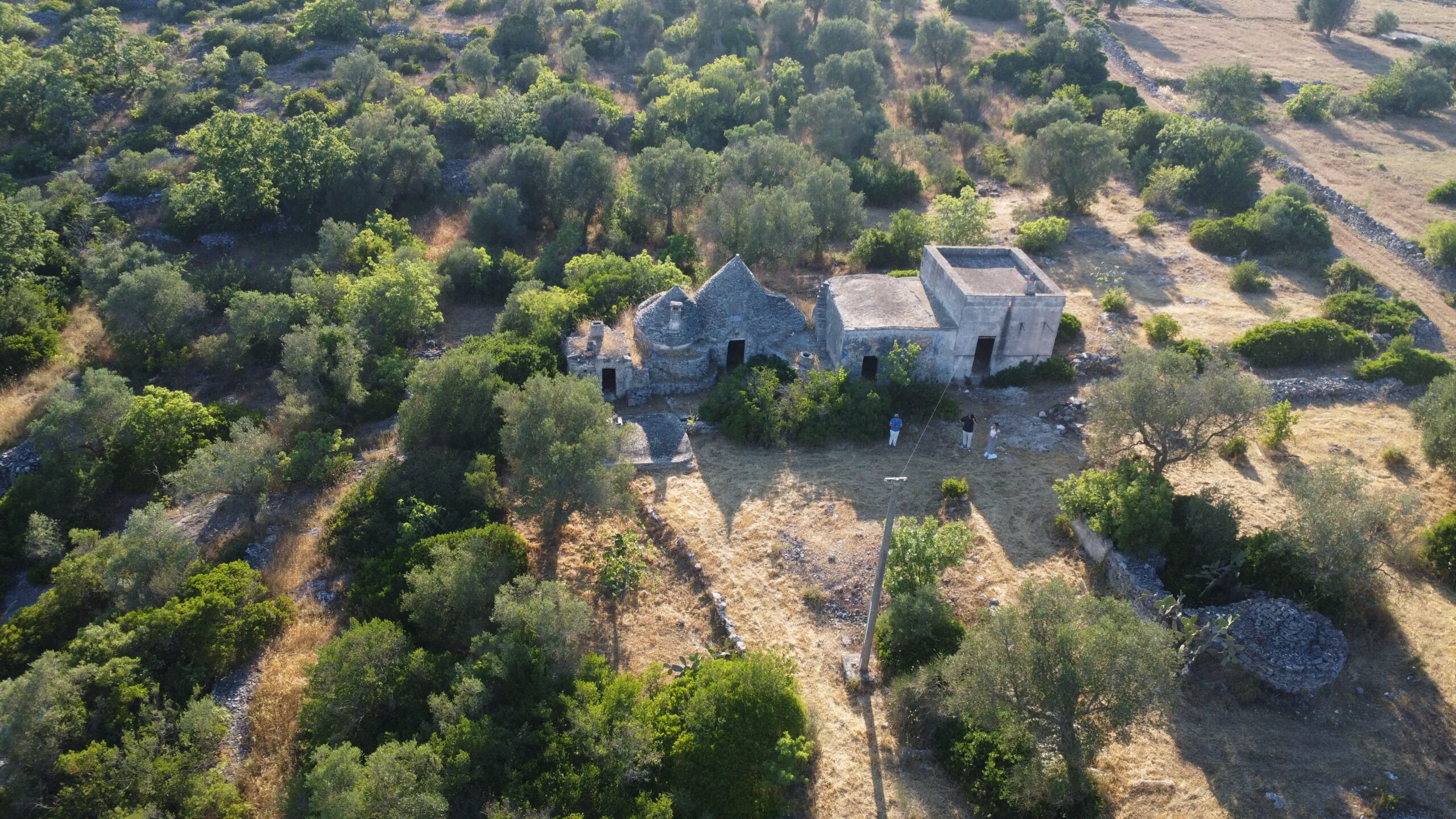 DJI_0663